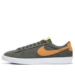 Кроссовки zoom blazer low gt sb Nike, зеленый 704939-302 | green