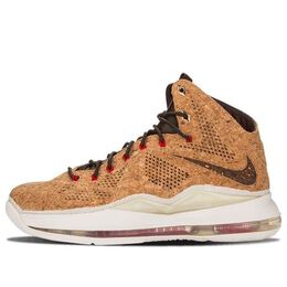 Кроссовки lebron 10 ext qs Nike, коричневый 580890-200 | brown/brown