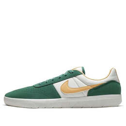 Кроссовки team classic sb Nike, зеленый ah3360-302 | green