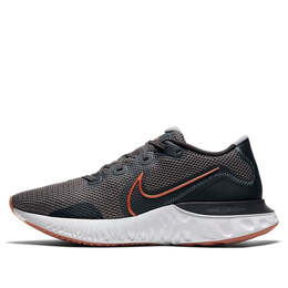 Кроссовки обновляют бег Nike, серый ck6357-004 | gray/gray/gray/gold