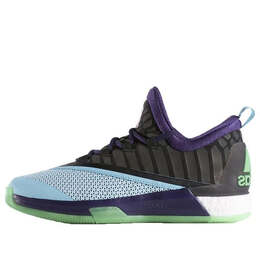 Кроссовки crazylight boost 2.5 Adidas, черный b42427 | black