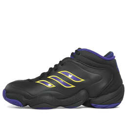 Кроссовки Adidas Crazy III, черный b72769 | black/purple/gold
