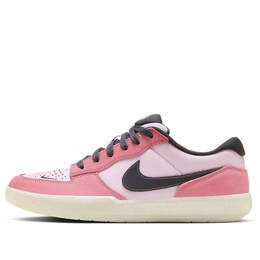 Кроссовки sb force 58 Nike, розовый fn8894-621 | pink foam/anthracite/pink/sail