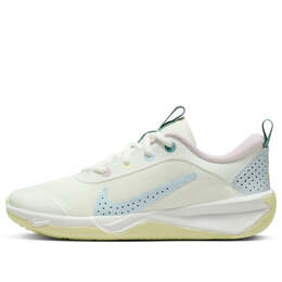 Кроссовки omni multi court Nike, белый dm9027-101 | white