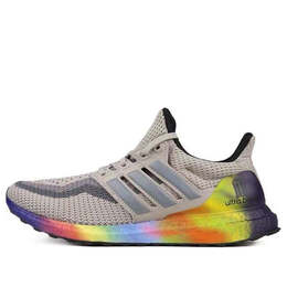Кроссовки ультрабуст 2.0 Adidas, серый fw3726 | gray/