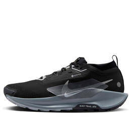 Кроссовки pegasus trail 5 gore tex Nike, черный fq0908-001 | black/wolf grey