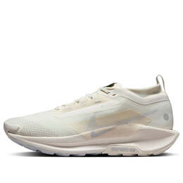 Кроссовки pegasus trail 5 gore tex Nike, белый fq0908-101 | white/photon dust