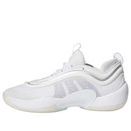Кроссовки Дон выпуск №6 Adidas, белый ig9088 | cloud white/silver metallic/cloud white