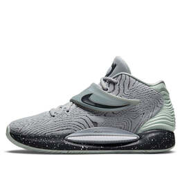 Кроссовки кд 14 тб Nike, серебряный da7850-002 | silver/gray