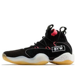 Кроссовки byw x Adidas Crazy, черный b42240 | black
