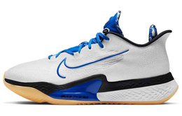 Кроссовки Nike Air Zoom BB NXT EP, белый/черный/синий db9991-100