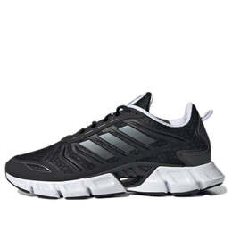 Кроссовки climacool Adidas, черный gx5582 | black/white