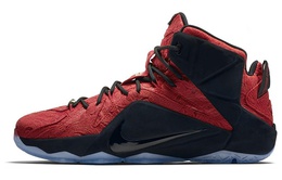 Мужские баскетбольные кроссовки Nike Lebron 12 748861-600