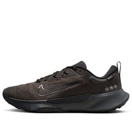 Кроссовки juniper trail 2 gore tex Nike, коричневый fb2067-200 | velvet brown/black/reflect silver/anthracite