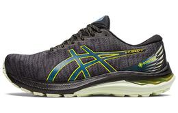Кроссовки Asics GT-2000 11 Мужчины 1011b477-002
