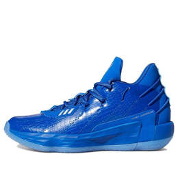 Кроссовки ric flair x dame 7 Adidas, синий fx6619 | blue