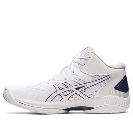 Кроссовки gelhoop v15 Asics, черный 1063a063-102 | black/blue