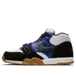 Кроссовки polar skate co x air trainer 1 sb Nike, белый ci6892-001 | black-deep royal blue-summit white