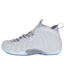 Кроссовки air foamposite one prm Nike, серый 575420-007 | wolf gray/white/wolf gray/black