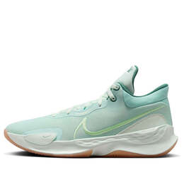 Кроссовки renew elevate 3 Nike, зеленый dd9304-301 | barely green/jade ice/metallic red bronze/vapor green