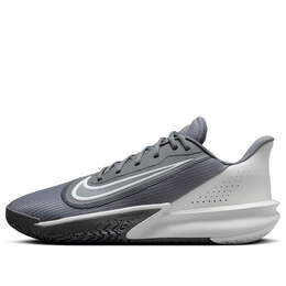Кроссовки точность 7 Nike, серый fn4322-003 | smoke grey/white