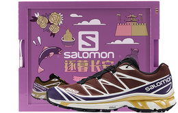 Salomon Кроссовки XT 6 Outdoor унисекс с низким верхом, шоколадные 414547(s-box)