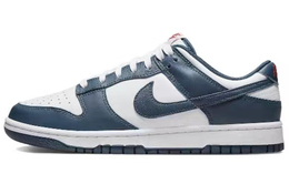Мужские кроссовки для скейтбординга Nike Dunk, Black dd1391-400(team57-男款深海) | black