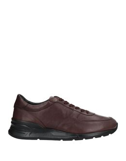 Кроссовки Tod's, темно-коричневый 17602679ek | dark brown