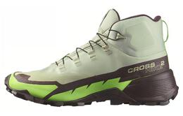 Salomon Кроссовки Cross Hike 2 Mid GORE-TEX 'Desert Sage Green Gecko' 472777 | green