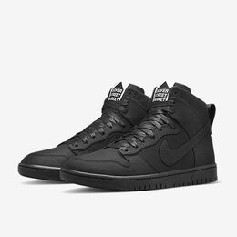 Кроссовки Nike Dunk Lux SP DSM, черный 718766 001 | dsm