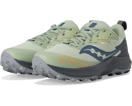 Кроссовки Saucony Peregrine 14 GTX, цвет Sage/Carbon 9961681 | sage/carbon