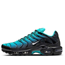 Кроссовки air max plus 'light retro blue' Nike, мультиколор dm0032-401 | light retro/black/white/summit white