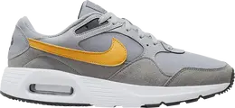 Кроссовки Nike Air Max SC 'Wolf Grey Yellow Ochre', серый cw4555 011 | grey