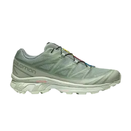Кроссовки XT-6 GORE-TEX Salomon, зеленый l47292000 | desert sage/lily pad/laurel wreath