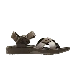 Кроссовки Nike ACG Air Deschutz+, коричневый dc9092 001 | brown