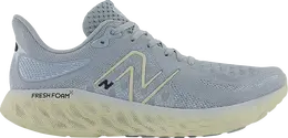 Кроссовки New Balance Fresh Foam X 1080v12 2E Wide 'Light Slate', серый m1080a12 2e | grey