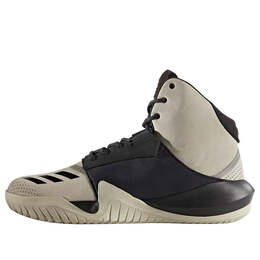 Кроссовки Adidas Crazy Team, коричневый by2869 | brownbrown/black/white