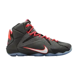 Кроссовки Nike LeBron 12 'Court Vision', черный 684593 016 | black