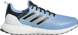 Кроссовки Adidas UltraBoost DNA 'Copa World Cup - Argentina', синий gw7267 | blue