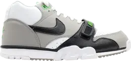 Кроссовки Nike Air Trainer 1 Mid Premium 'Chlorophyll', белый 317553100 | white