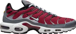 Кроссовки Nike Air Max Plus 'Team Red Cool Grey', красный dq3983 600 | red