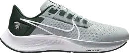Кроссовки Nike Air Zoom Pegasus 38 'Michigan State', серебряный dj0833 001 | silver