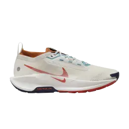 Nike Кроссовки Pegasus Trail 5 GORE-TEX, цвет Phantom Vintage Coral fq0908 003 | phantom vintage coral