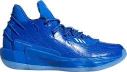 Мужские кроссовки Adidas Ric Flair x Dame 7, ярко-синий fy2807 | blue
