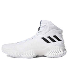 Кроссовки pro bounce 2018 basketball shoes 'white black' Adidas, белый fw5745 | white / black