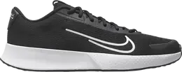 Кроссовки NikeCourt Vapor Lite 2 HC 'Black White', черный dv2018 001 | black