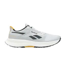 Кроссовки Reebok Floatride Energy 6 Moon Grey Heritage Gold, серый 100201164