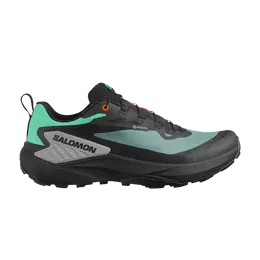 Кроссовки Salomon Genesis GORE-TEX North Atlantic, черный l47688300