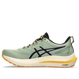 Кроссовки gt-2000 12 tr 'nature bathing - green fellow yellow' Asics, мультиколор 1011b775-250 | nature bathing/fellow yellow