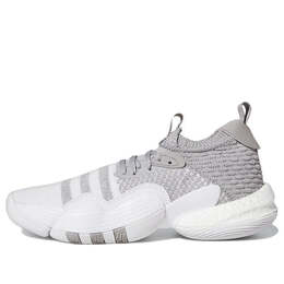 Кроссовки trae young 2 'grey moon' Adidas, белый h03842 | white/gray